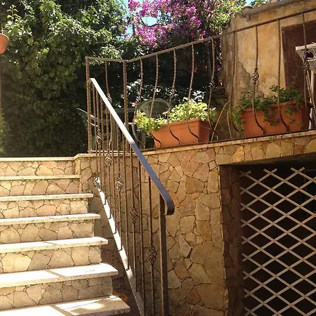 L'edera Scano Montiferro