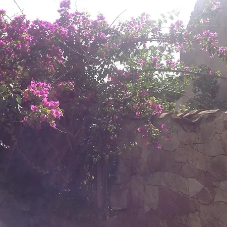 فندق مبيت وإفطار L'edera