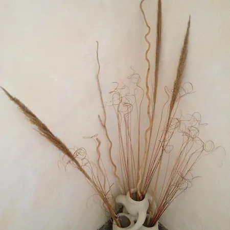 L'edera